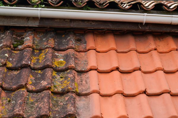 Industrial Roof Cleaning in Loveland